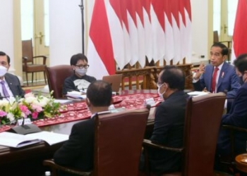 Hadiri WEF, Presiden Jokowi Paparkan Strategi Indonesia Wujudkan Ekonomi Hijau