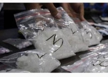 Sabu Seberat 10,5 Kg, Walpri Gubernur Kepri Ditangkap, Ini Tanggapan Kadiskominfo