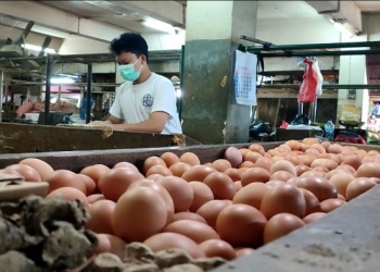Jaga Ketersediaan dan Keterjangkauan Pangan, Pemerintah Siapkan Kebijakan