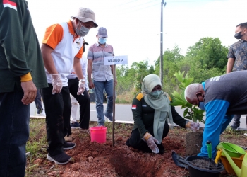 Hari Gerakan 1 juta Pohon Dimanfaatkan Wako Rahma Mengajak Forum RT/RW Budayakan Menanam Pohon
