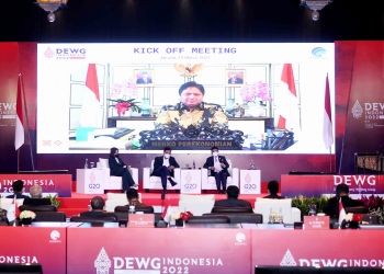 Jadi Katalisator Pemulihan Ekonomi Global, Menko Perekonomian Dukung Agenda DEWG G20