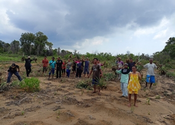 Puluhan Ribu Tanaman Masyarakat Desa Berakit & Lome Dirusak Preman PT BMW, Dimana Polres Bintan?