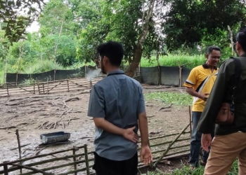 Program Penanggulangan Kemiskinan, Kube Binaan Dinsos Kepri Berhasil Berkembang
