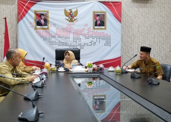 Secara Daring Walikota Tanjungpinang Ikuti Rakornas Pengawasan Intern Pemerintah