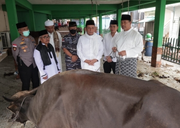 Kegembiraan Warga Anambas Terima Sapi Kurban dari Presiden, Gubernur Kepri yang Menyerahkannya