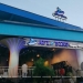 Ternyata Api Biru Bar dan Restoran Tanjungpinang Ilegal, Tidak Punya Izin