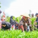 Walikota Tanjungpinang Bersama Kelompok Wanita Tani Panen Kangkung di Sungai Ladi