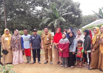 Bangun Pertanian di Perkotaan, DP3 Tanjungpinang Gagas Program Geliga Pangan untuk KWT