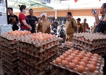 Pastikan Ketersediaan dan Harga Telur Stabil, Walikota Tinjau Langsung ke Distributor