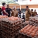 Pastikan Ketersediaan dan Harga Telur Stabil, Walikota Tinjau Langsung ke Distributor