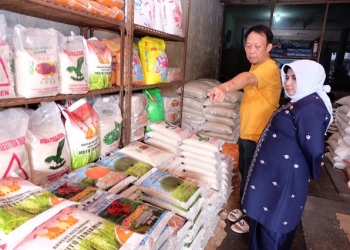 Pastikan Ketersediaan Stok Pangan Aman Jelang Nataru, Wako Rahma Tinjau Gudang Distributor