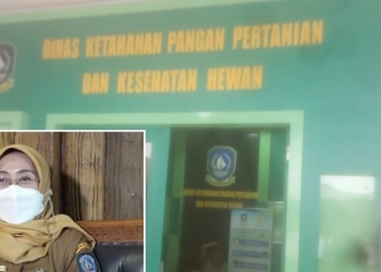 Karaoke Bareng, Kadis dan Kabid DKP2KH Kepri Ajak se-Kantor Bernyanyi di Pantai saat Jam Kerja