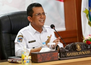 DAK Fisik dan Dana Desa, Ansar Harap Tahun Ini Pengelolaannya Semakin Baik dan Tepat Sasaran