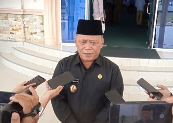 Penurunan Stunting di Tanjungpinang 3,1%, Endang Sebut Pemko Serius dalam Penangananya