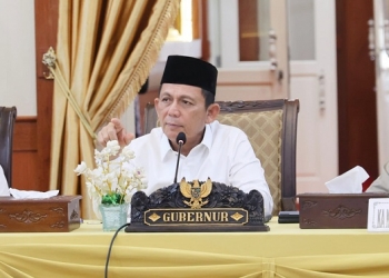 Pastikan Mobilitas Lancar, Ansar Tetapkan SK Penyesuaian Tarif Kapal RoRo Punggur-Jagoh
