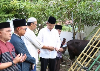 Pemko Tanjungpinang Serahkan 48 Sapi Kurban ke Sejumlah Masjid dan Mushalla