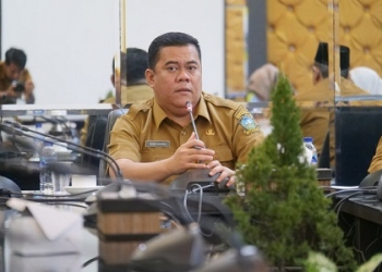 Pastikan Kesiapan Acara HUT RI, Sekda Bintan: Upacara Kemerdekaan akan Dilaksanakan di Mantang