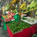 Bangkitnya Pedagang Buah Pasca Pandemi di Kota Tanjungpinang