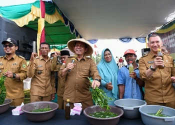 Majukan Petani dan Wujudkan Swasembada Pangan di Natuna, Ansar Salurkan Berbagai Bantuan Pertanian
