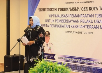 Dukung Memberdayakan UMKM, Rahma Paparkan Konsep Pemko untuk Menopang Pelaku Usaha