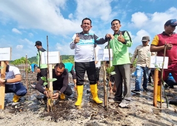 Penghijauan Tanam Mangrove, Ansar: Jangan Sekedar Penikmat Alam tapi Jadilah Pecinta Lingkungan