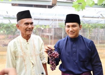 Peluang Usaha dan Eko Wisata, Kebun Anggur dengan Konsep Green House di Bintan