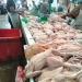 Harga Daging Ayam Meroket, Pedagang Akui Volume Belanja Konsumen Menurun, Modal Besar Pembeli Kurang