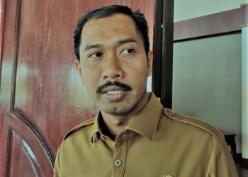Harga Beras Premium Naik, Disperindag Sarankan Masyarakat Beralih ke Medium