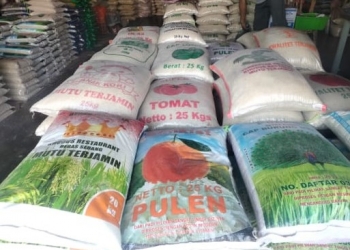 Harga Beras Terus Merangkak Naik, Masyarakat Menjerit: Berpotensi Memicu Krisis Baru