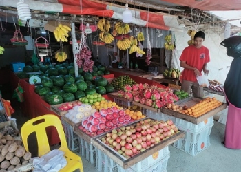 Sejak Dua Pekan Lalu Stok Jeruk Menipis, Ini Harga Buah-buahan di Tanjungpinang