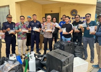 Kembali Polri Gagalkan Ekspor Ilegal Benih Lobster ke Singapura Senilai Rp87,5 M