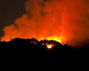Cuaca Panas, BMKG Tanjungpinang Imbau Masyarakat Waspadai Kebakaran Hutan dan Lahan