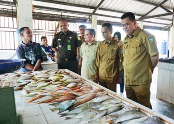 Ronny Kartika Tinjau Pasar Murah dan Sidak Pasar Kawal