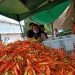 Harga Cabai Setan Menjelit di Pasar Bincen, Tembus Rp62 Ribu per Kg