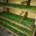Gegara Kedelai Mahal Para Perajin Tempe di Tanjungpinang Terpaksa Mengurangi Produksi