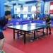 123 Peserta Perebutkan Hadiah Jutaan Rupiah Turnamen Tenis Meja di Batam