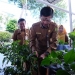 Dorong Pemanfaatan Sorgum, Hasan Sebut Alternatif Pangan Berkualitas