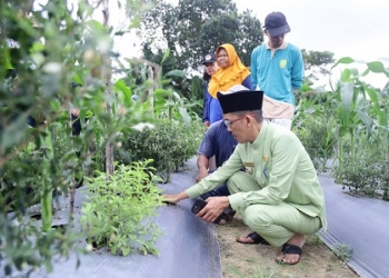 Menyikapi Soal Ketahanan Pangan dan Pengendalian Inflasi, Ini Langkah yang akan Ditempuh Hasan