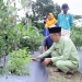 Menyikapi Soal Ketahanan Pangan dan Pengendalian Inflasi, Ini Langkah yang akan Ditempuh Hasan
