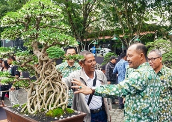 Ajang Tingkatkan Kecintaan terhadap Lingkungan, Perkumpulan Penggemar Bonsai Indonesia Gelar Pameran