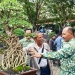 Ajang Tingkatkan Kecintaan terhadap Lingkungan, Perkumpulan Penggemar Bonsai Indonesia Gelar Pameran