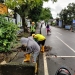 Gerakan 600 Pekerja Bersihkan Drainase Berjalan 14 Hari, Belasan Kaisar Sampah Sehari Diangkut