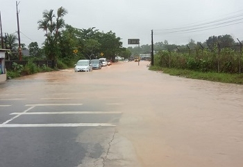 Diguyur Hujan, Sejumlah Titik di Tanjungpinang Alami Banjir Parah Termasuk Jalan Nusantara