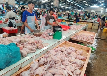 Dalam 3 Hari Sudah 2 Kali Naik Harga, Daging Ayam Pasar Bincen Tembus Rp40 Ribu per Kilogram