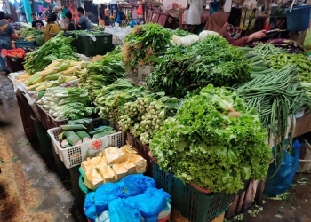 Kondisi Cuaca Menentukan Hasil Panen, Hari Ini Harga Sayuran di Tanjungpinang Kembali Normal