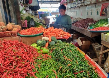 Jelang Imlek, Harga Pangan Hari Ini di Tanjungpinang Masih Normal