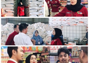 Persediaan di 4 Distributor Terkendali, Riany: Stok Beras Gudang Bulog Mencukupi sampai Desember
