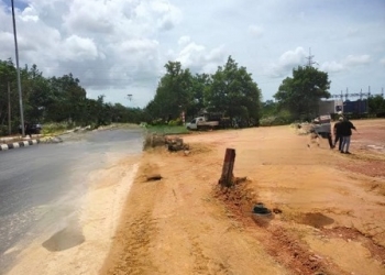 Bisa Jadi Tersangka, LSM Sebut Camat Memiliki Peran Besar Urusan Surat Tanah di Bintan Timur