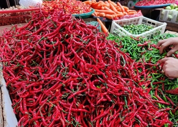 Beras Masih Mahal, Harga Pangan di Tanjungpinang Berangsur Turun