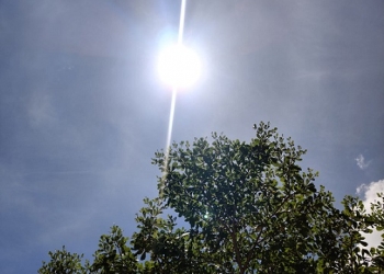 Suhu Tanjungpinang Capai 33 Derajat Celsius, BMKG Imbau Masyarakat Waspada Potensi Kebakaran